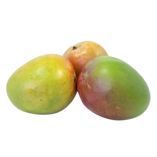 MANGO (KENYA/PAKISTAN/EGYPT/SOUTH AFRICA)