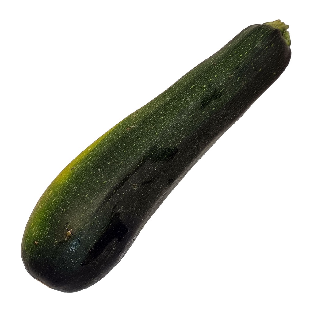 ZUCCHINI