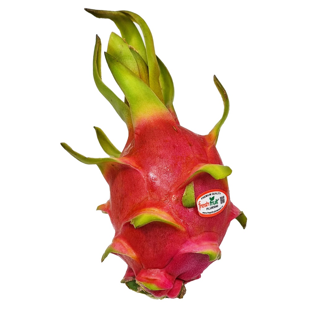 DI-19 FRESH DRAGON FRUIT PINK VIETNAM