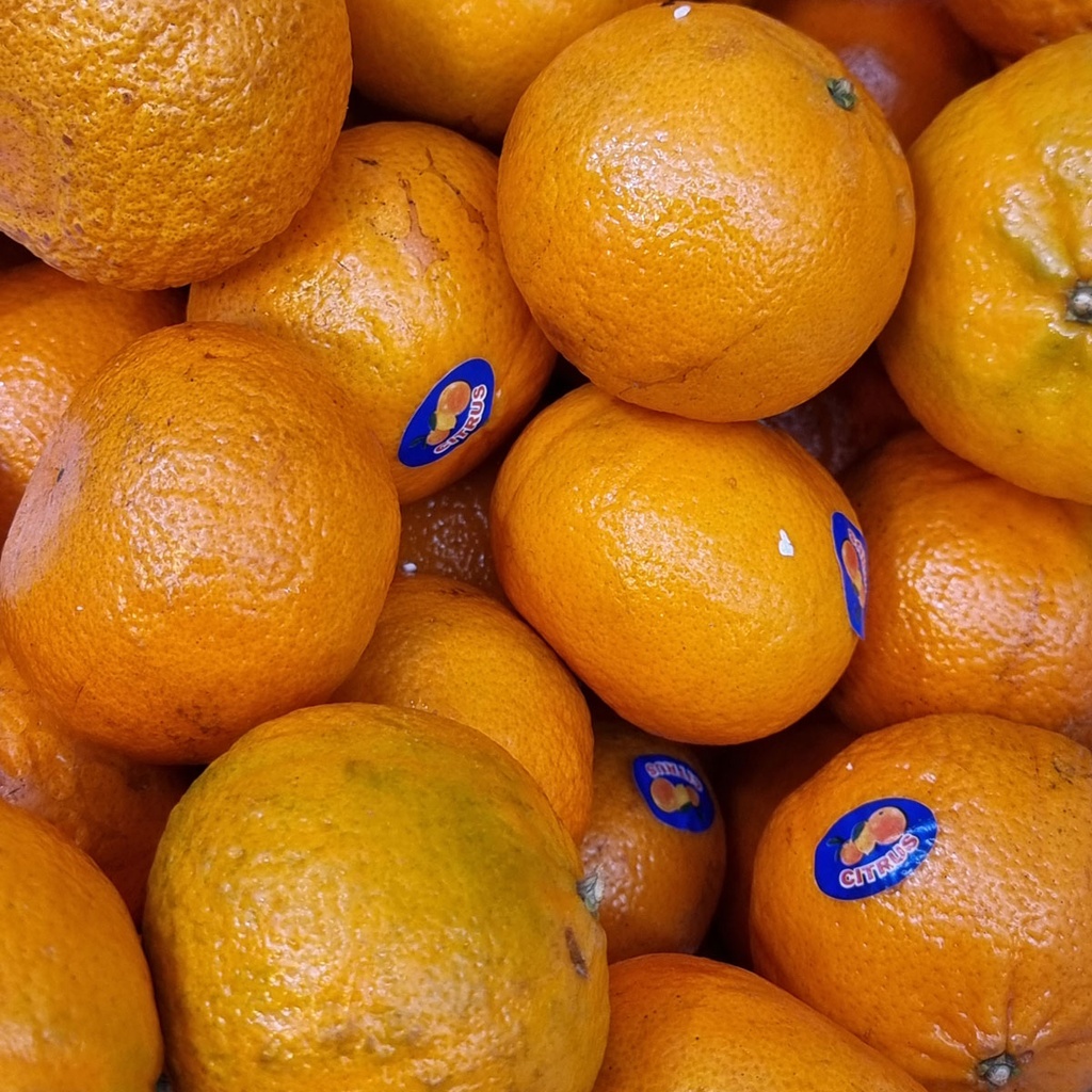 DI-28 FRESH MANDARIN AUSTRALIA