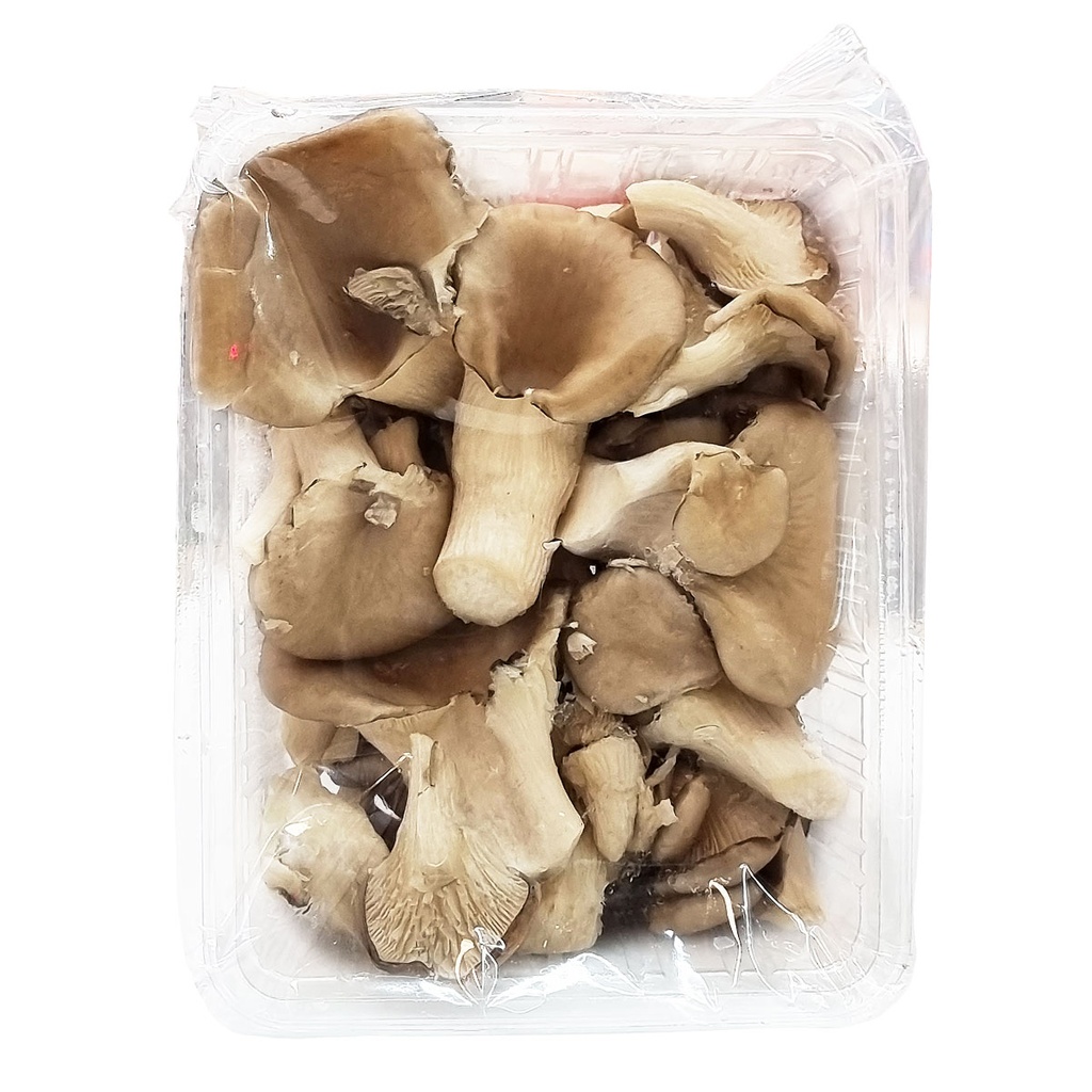 DI-42 FRESH OYSTER MUSHROOM 230G HOLLAND