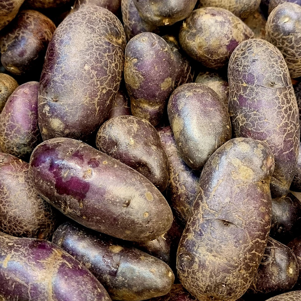 DI-44 FRESH POTATO PURPLE HOLLAND