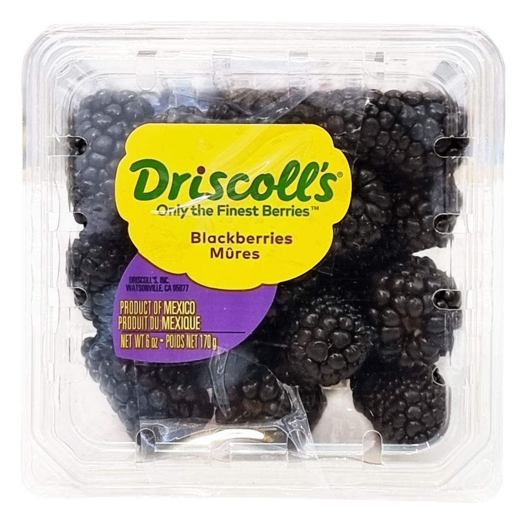 DI-48 DRISCOLLS FRESH BLACKBERRIES 125G