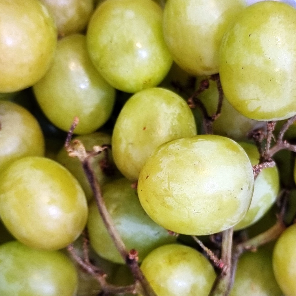 DI-63 FRESH GREEN GRAPES