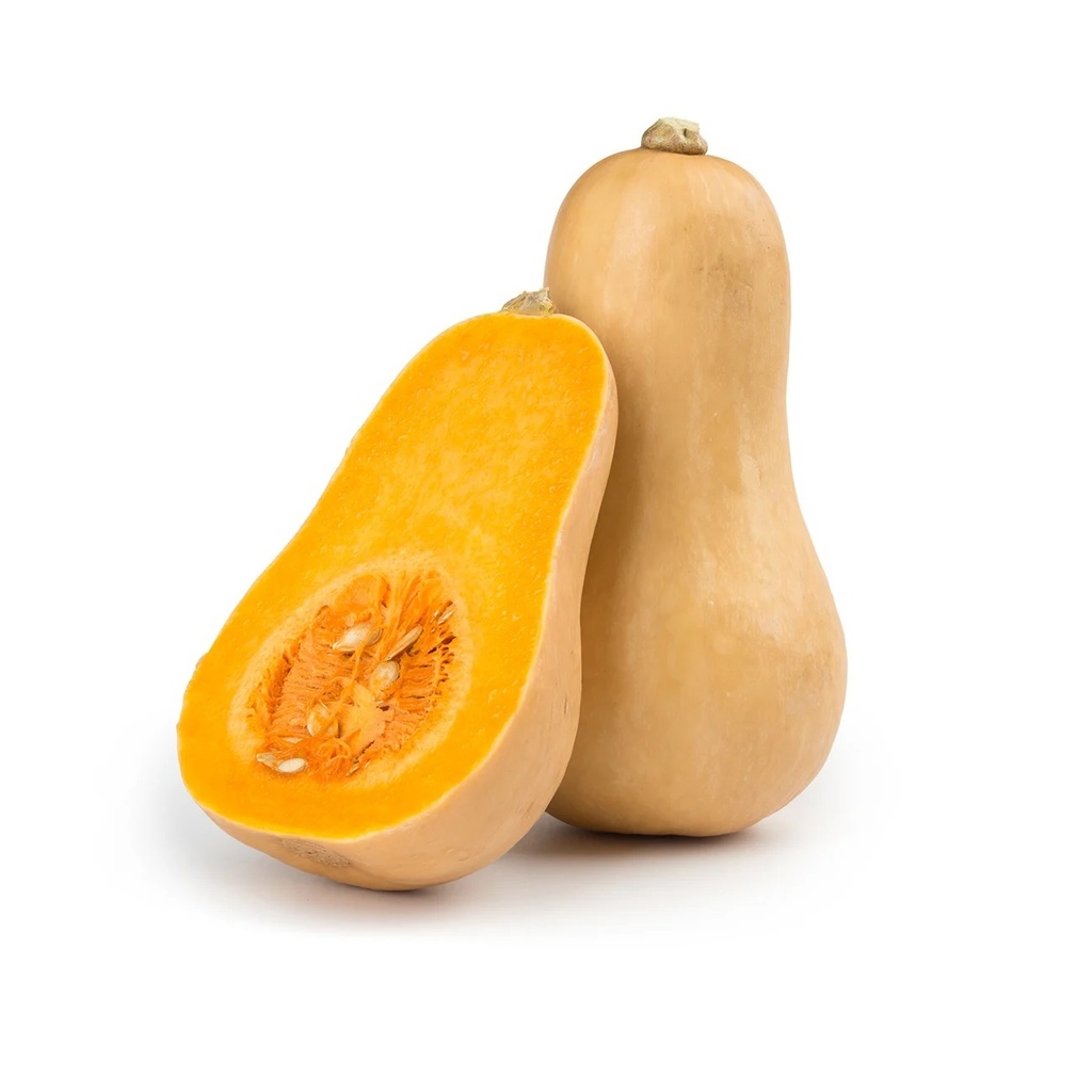 DI-68 BUTTERNUT SQUASH AUSTRALIA