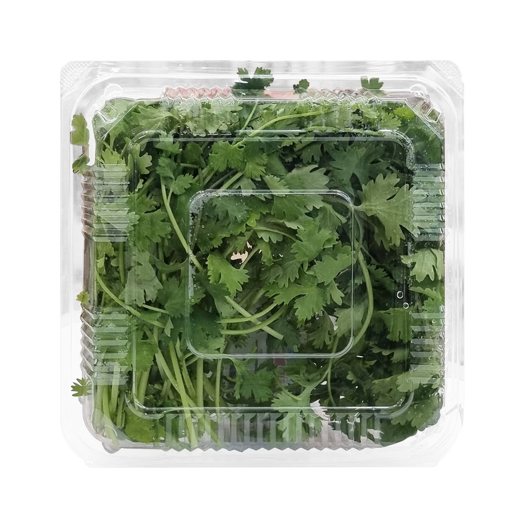 DI-77 FRESH CORIANDER LEAVES GCC (PACKED) 125G