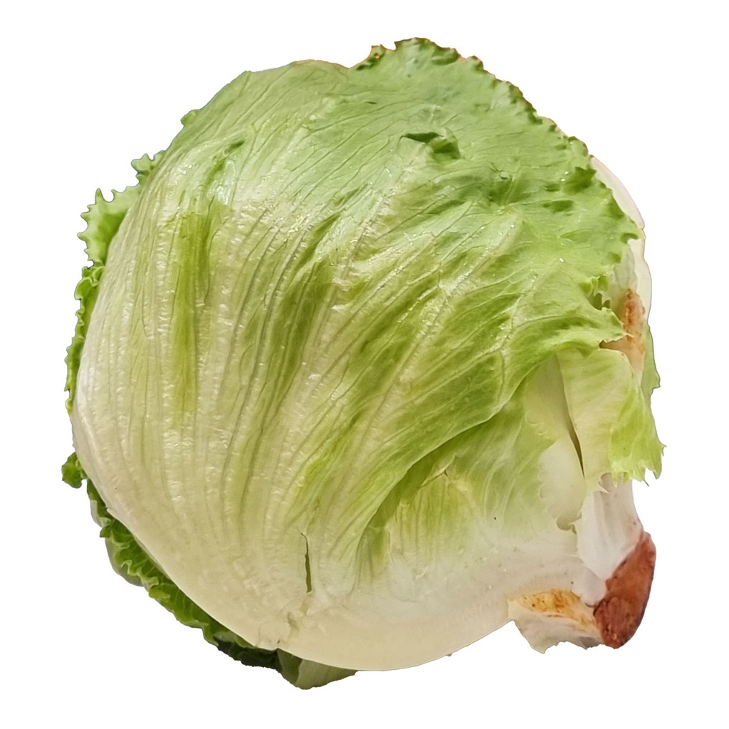 ICEBERG LETTUCE