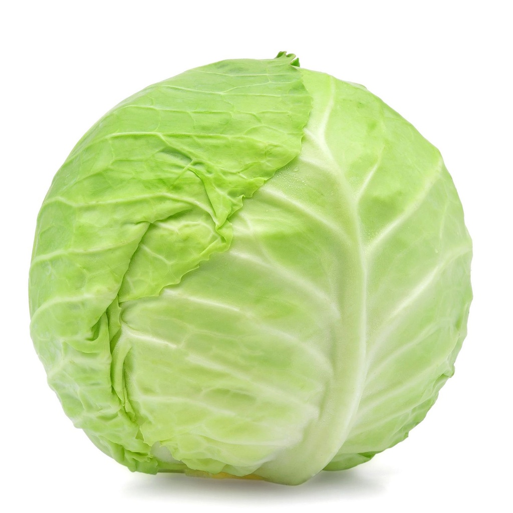 CABBAGE