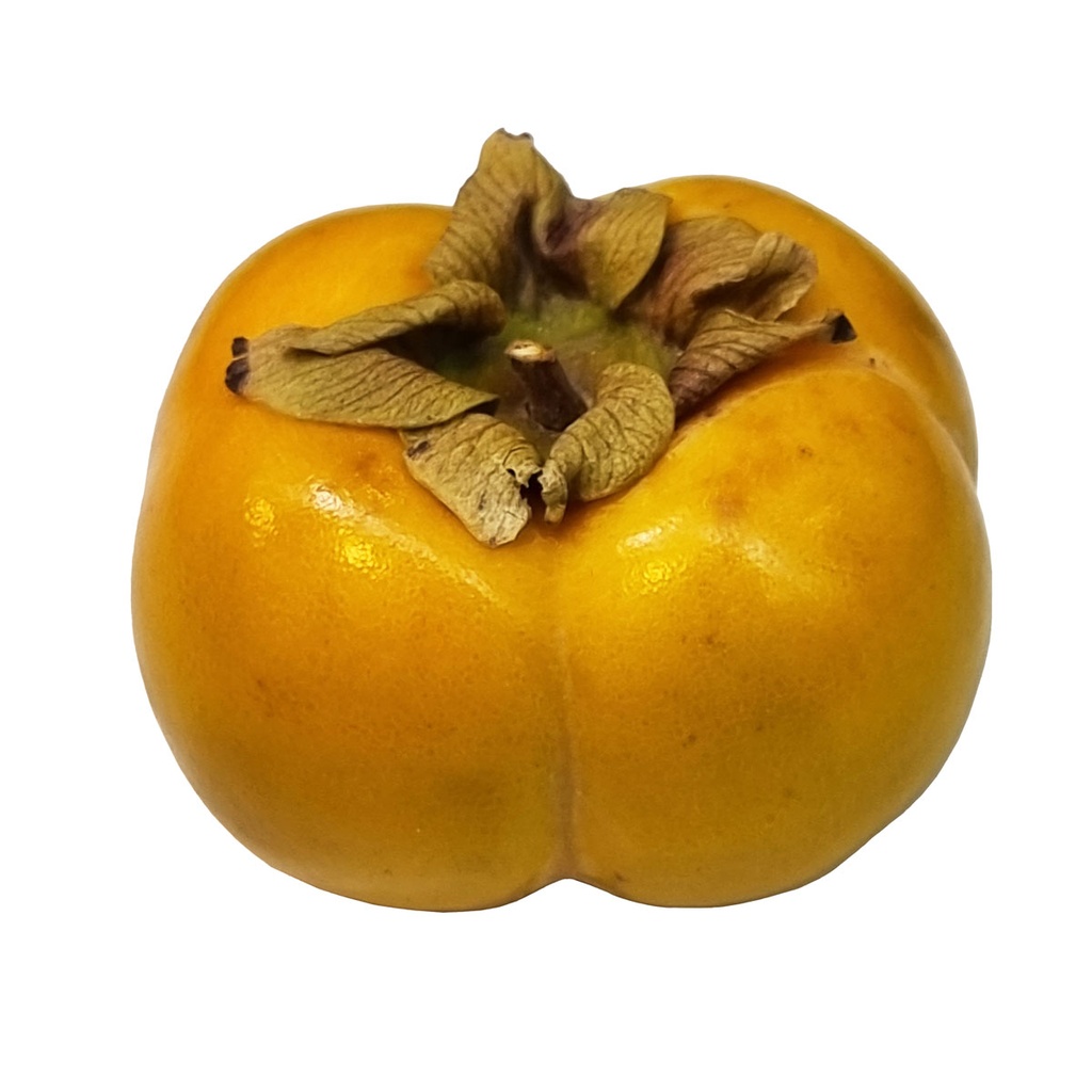 DI-70 PERSIMMON