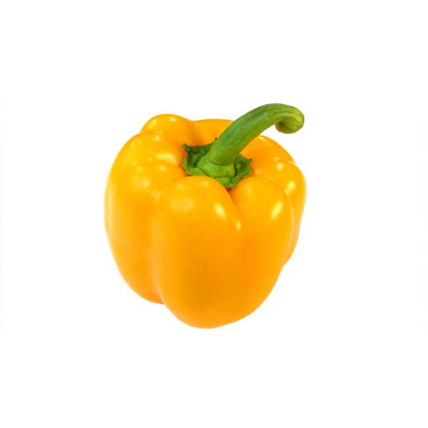 BELL PEPPER (YELLOW)