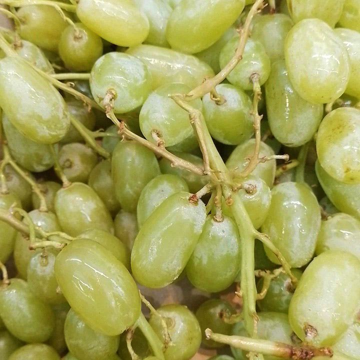 GREEN GRAPES