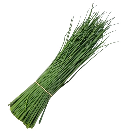 DI-10 FRESH CHIVES HOLLAND