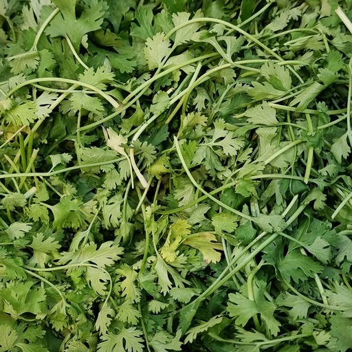 DI-12 FRESH CORIANDER LEAVES GCC