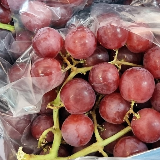 DI-26 FRESH RED GRAPES USA