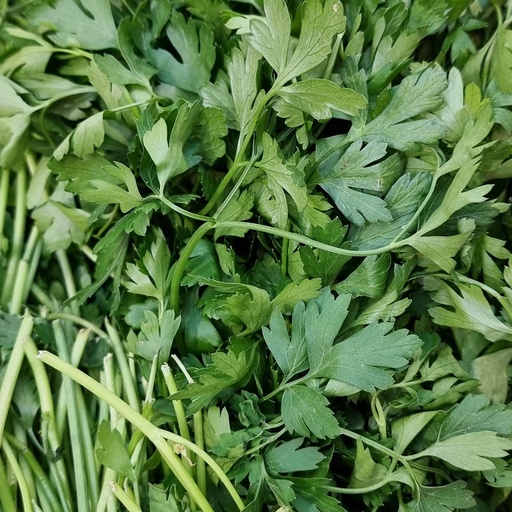 DI-43 FRESH FLAT PARSLEY GCC