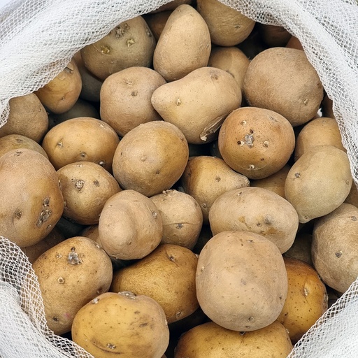 DI-46 FRESH BABY POTATOES HOLLAND