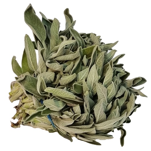 DI-50 FRESH SAGE HOLLAND