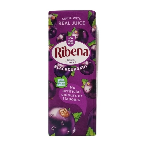 RIBENA BLACKCURRANT RTD 250ML