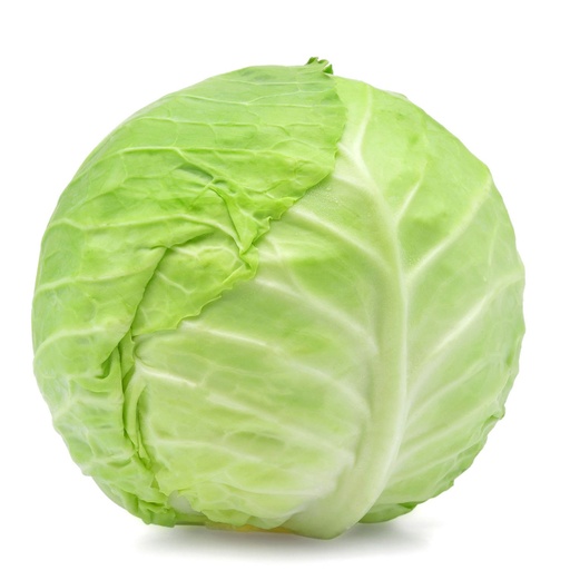 [00332] CABBAGE