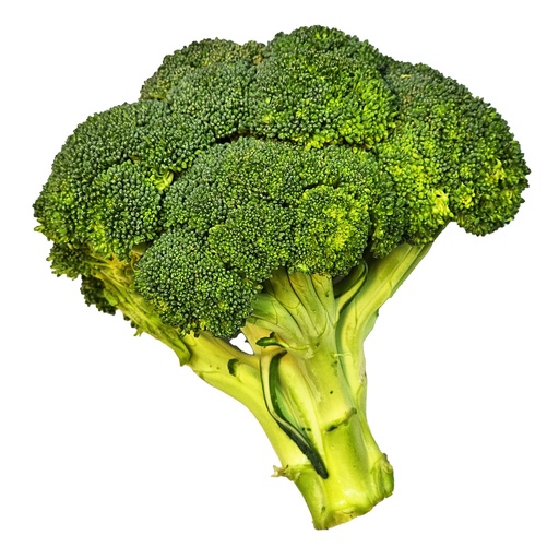 BROCCOLI